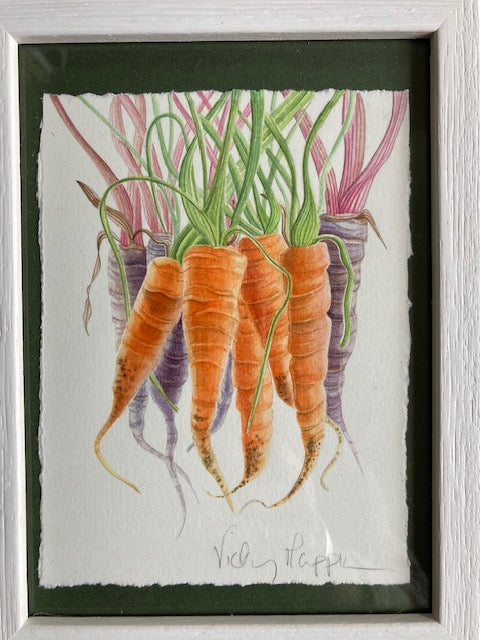 Original Watercolour Collection