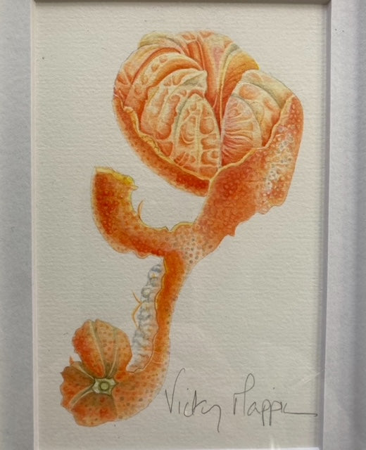 Original Watercolour collection