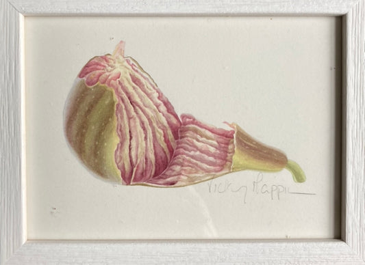 Original Watercolour Collection