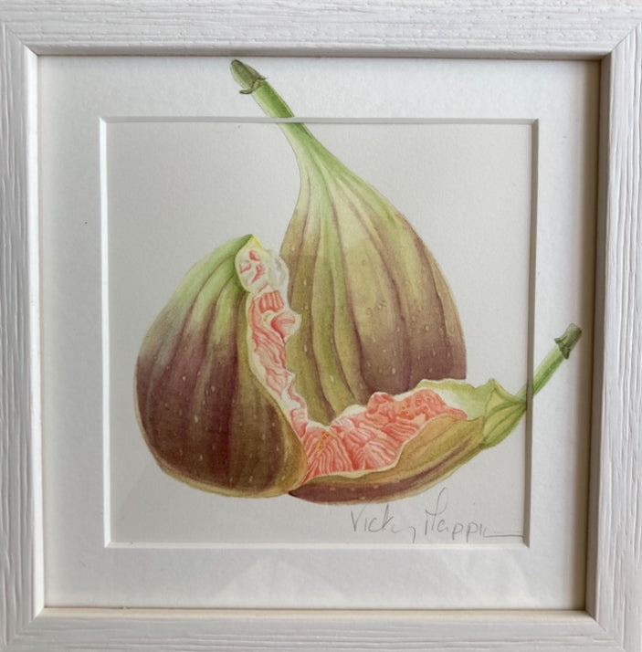 Original Watercolour Collection