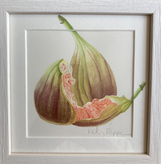 Original Watercolour Collection