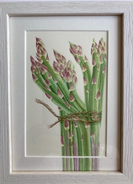 Original Watercolour Collection