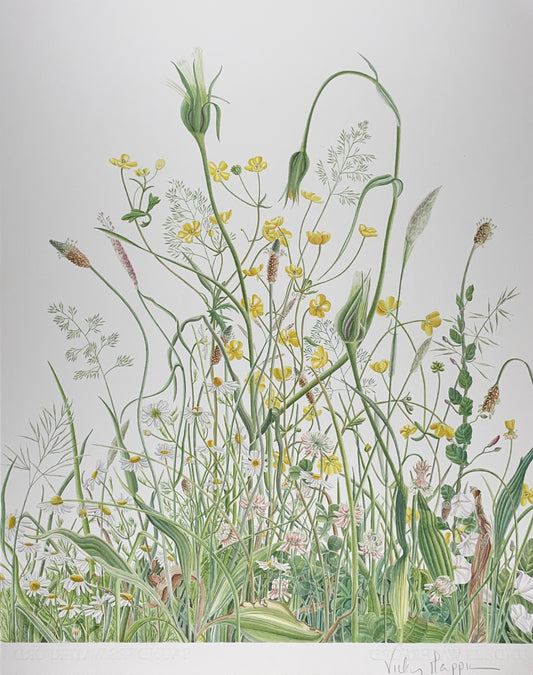 Spring Meadow Print