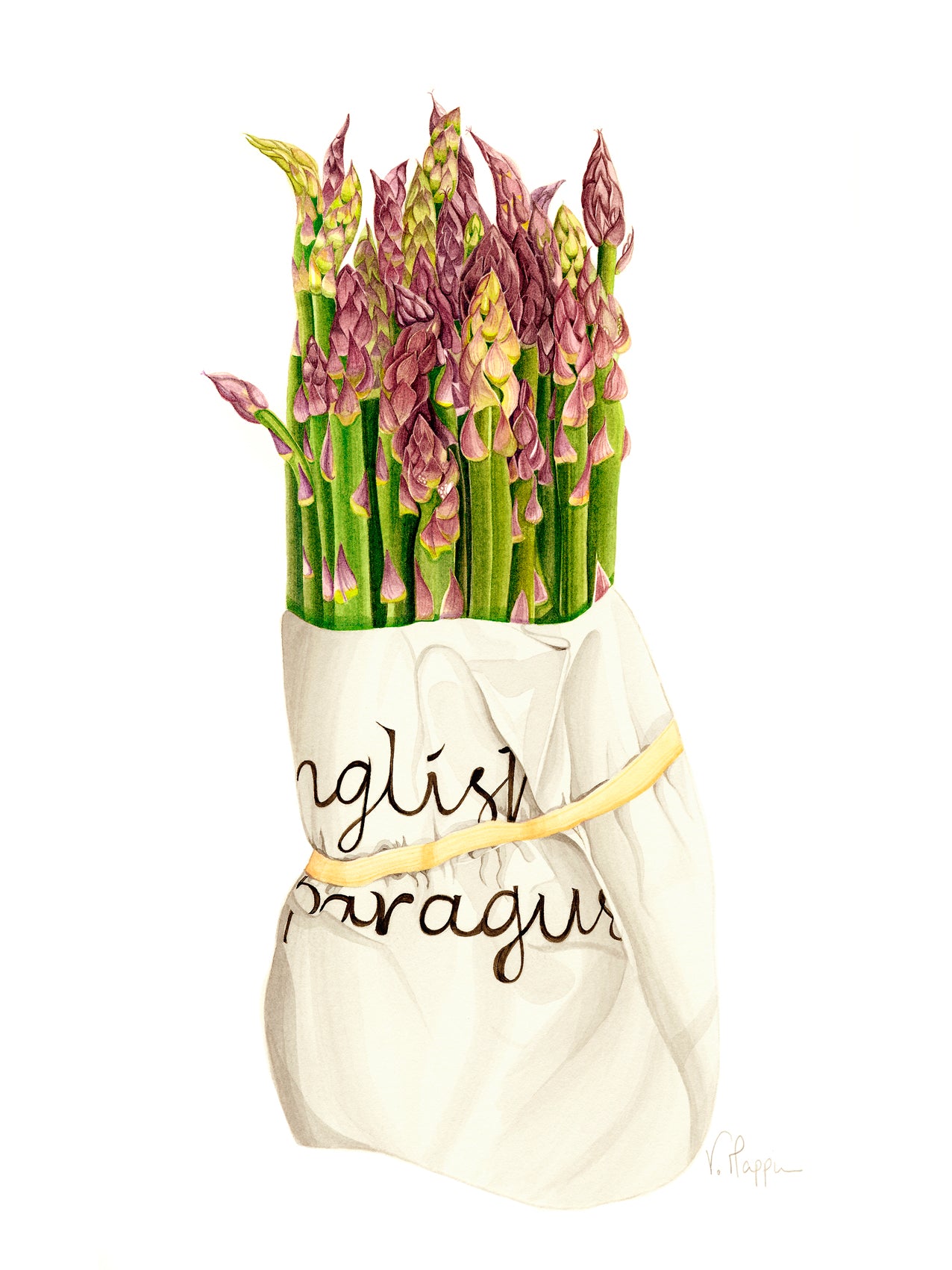 Asparagus Print