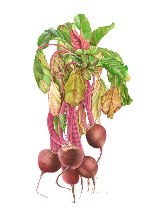 Beetroot Print