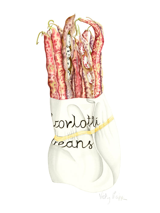 Borlotti Beans Print