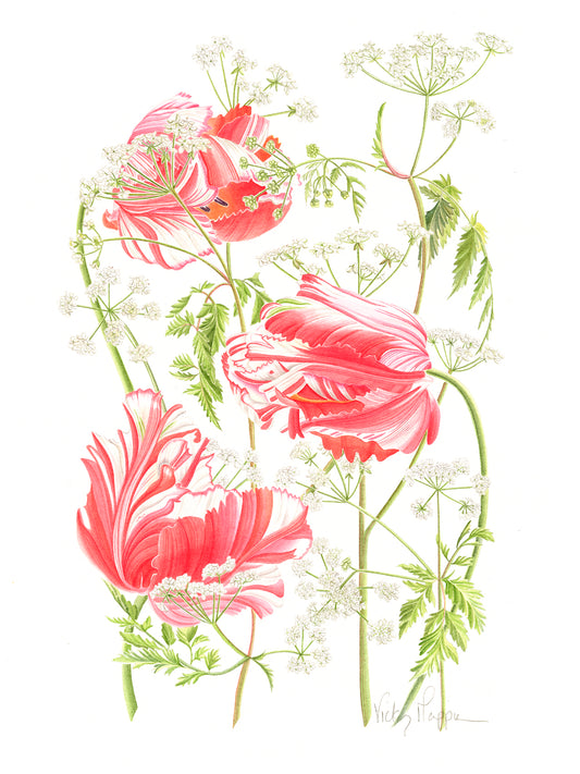 Cow parsley, Tulip Estella Rijnveld Print