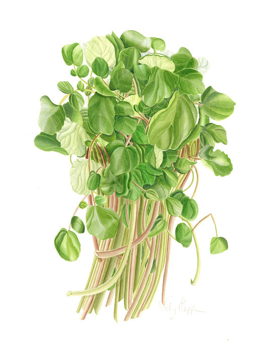 Water Cress Print