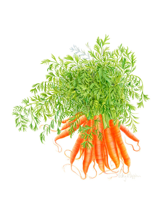 Carrot Print