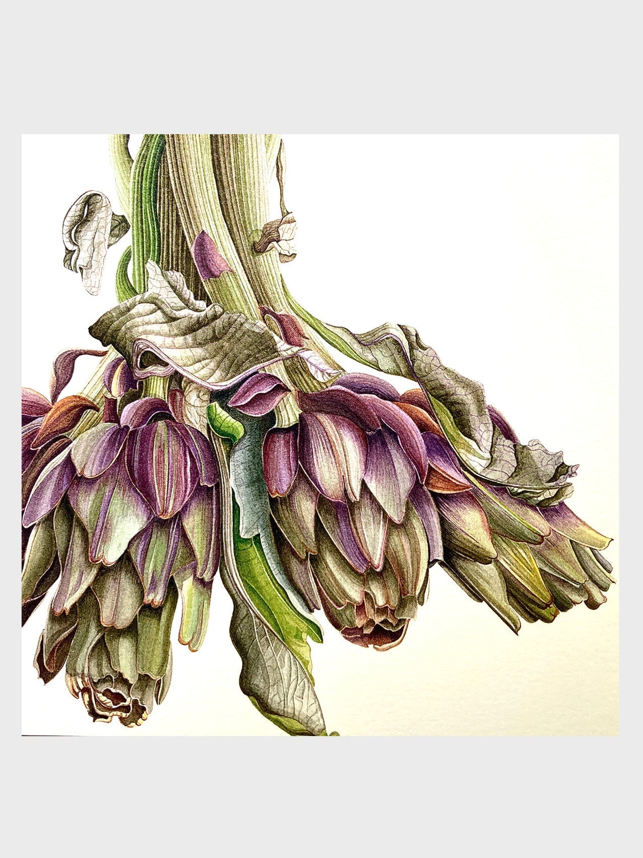 Vegetable Garden Cards