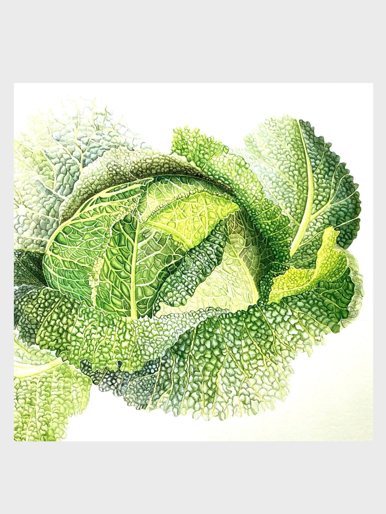 Vegetable Garden Cards