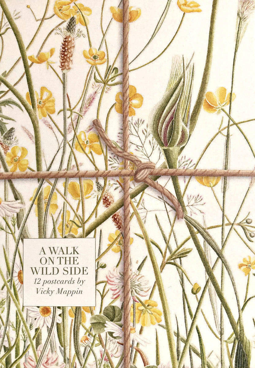 Postcards - A walk on the wild side