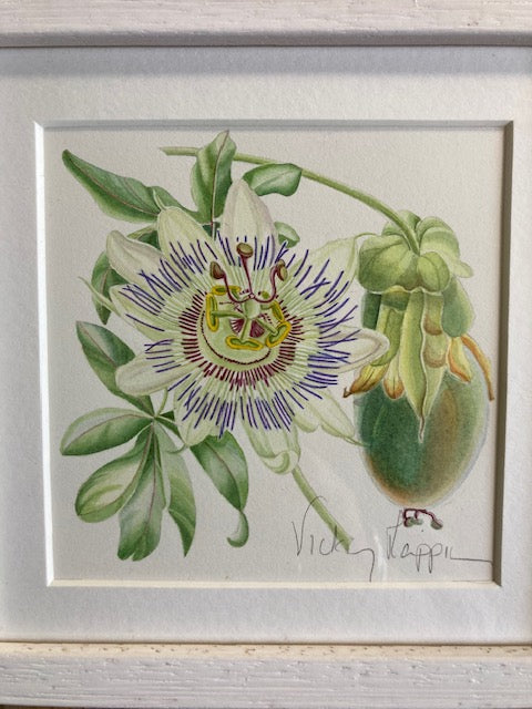 Original Watercolour Collection