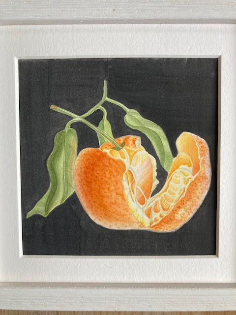 Original Watercolour Collection