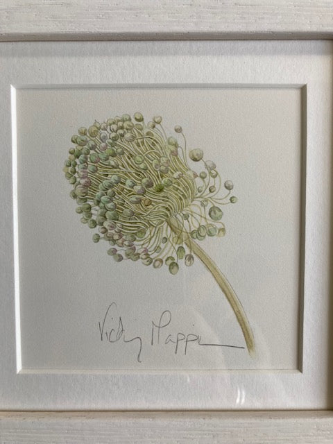 Original Watercolour Collection