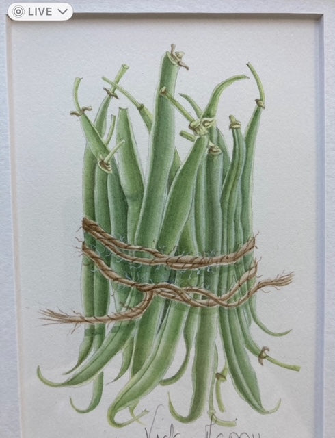 Original Watercolour Collection