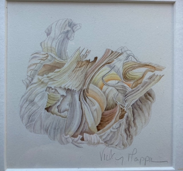 Original Watercolour Collection