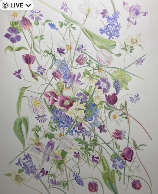 Large Prints 56cm X 76cm