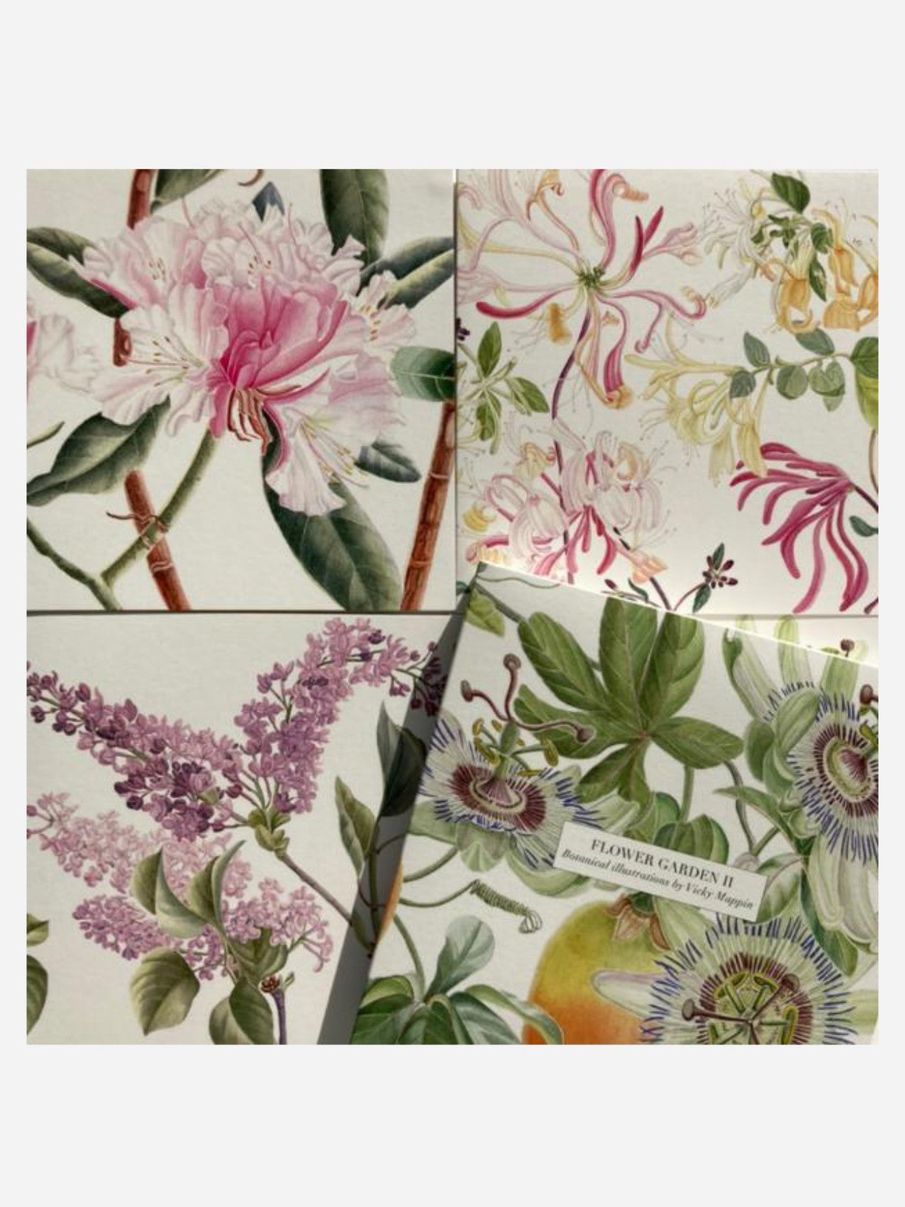 Flower Garden Cards - Passionflower Cover